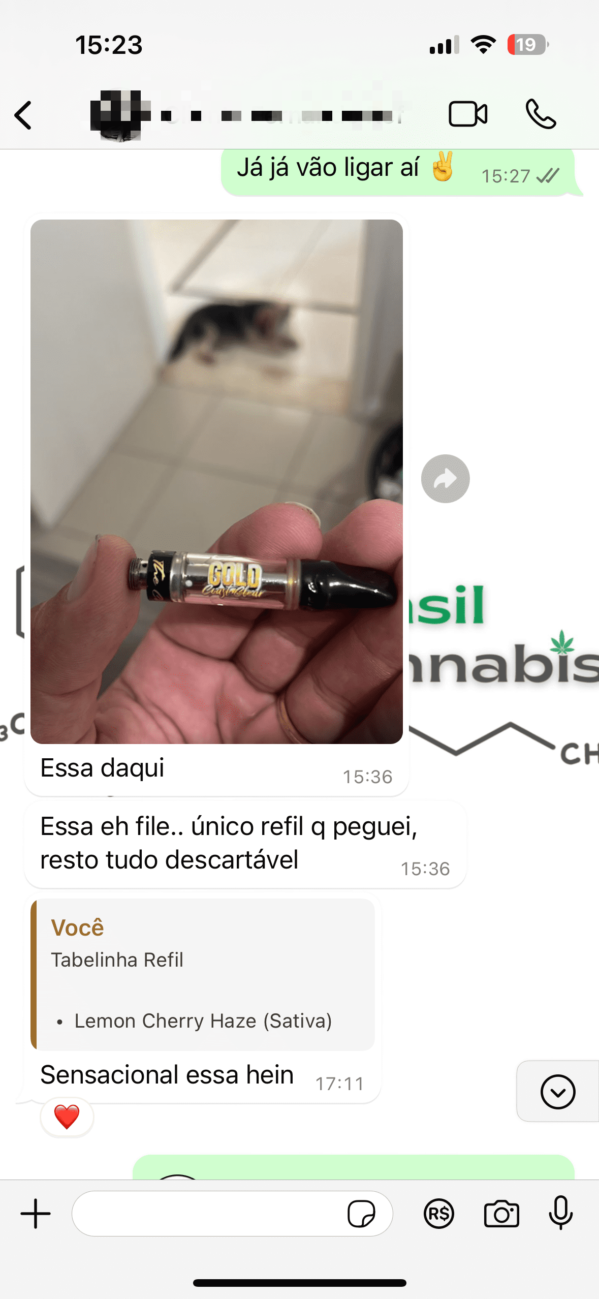 print do relato