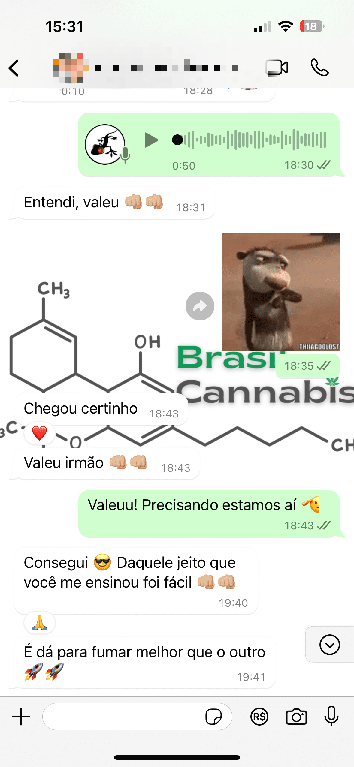 print do relato