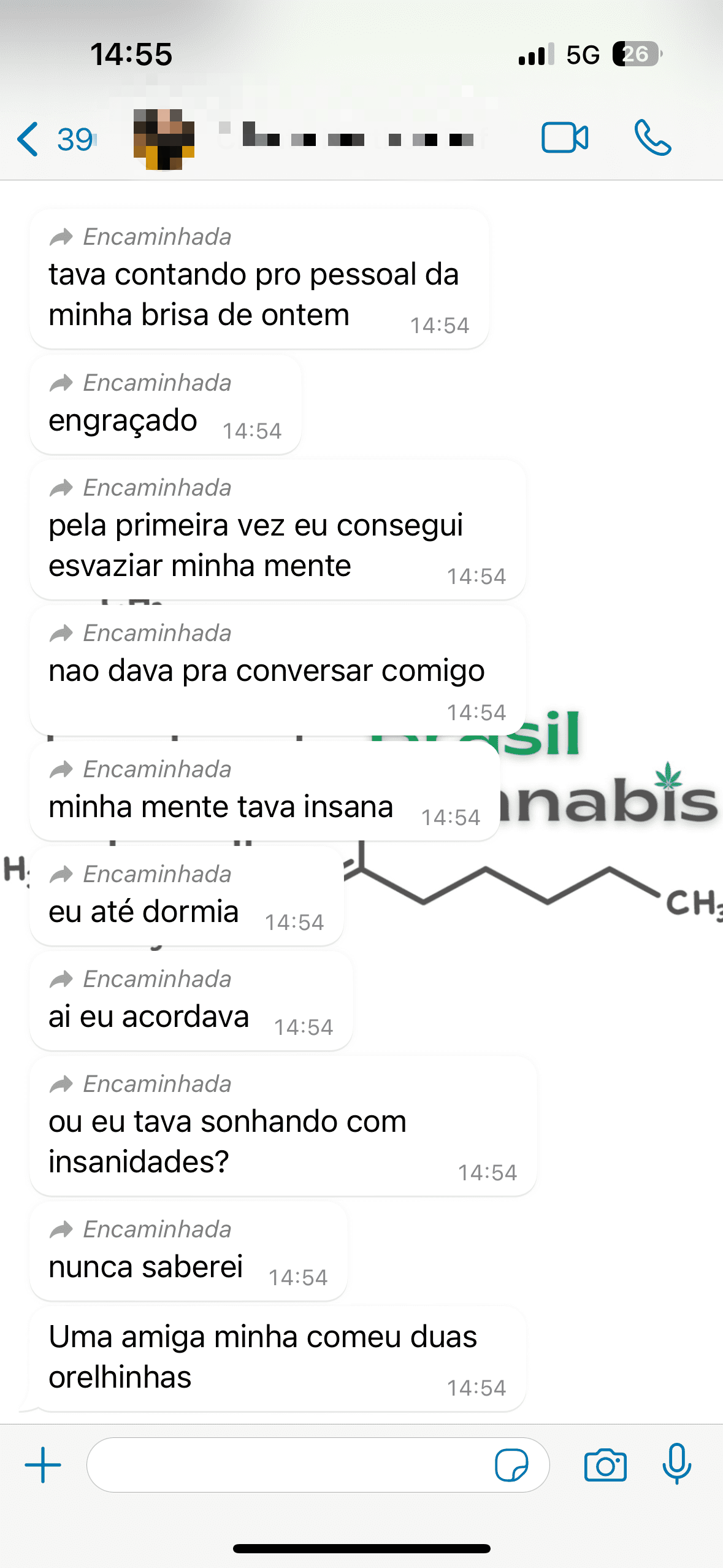 print do relato