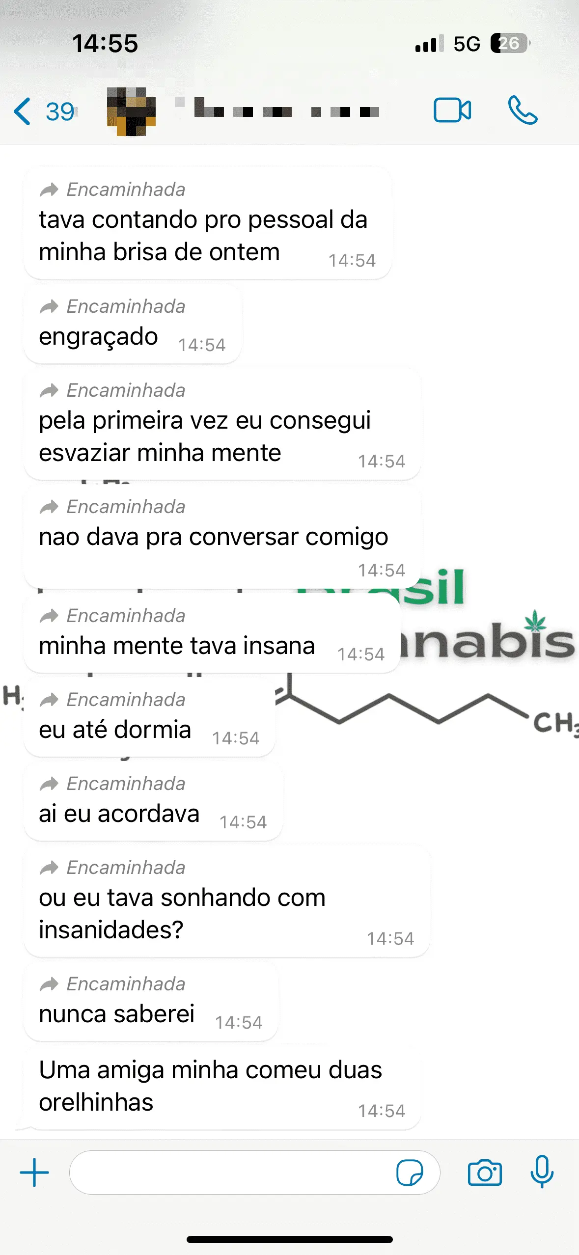 print do relato