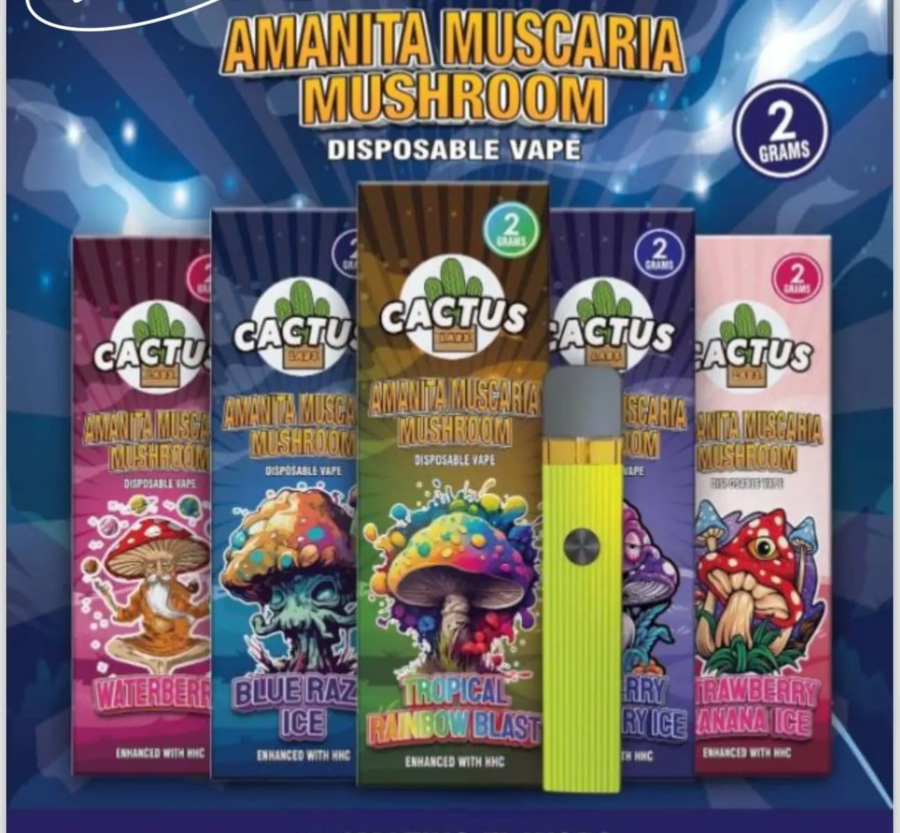 /imgs/products/cactus-2ml-amanita-muscaria-cogumelo-3-1728091965.webp